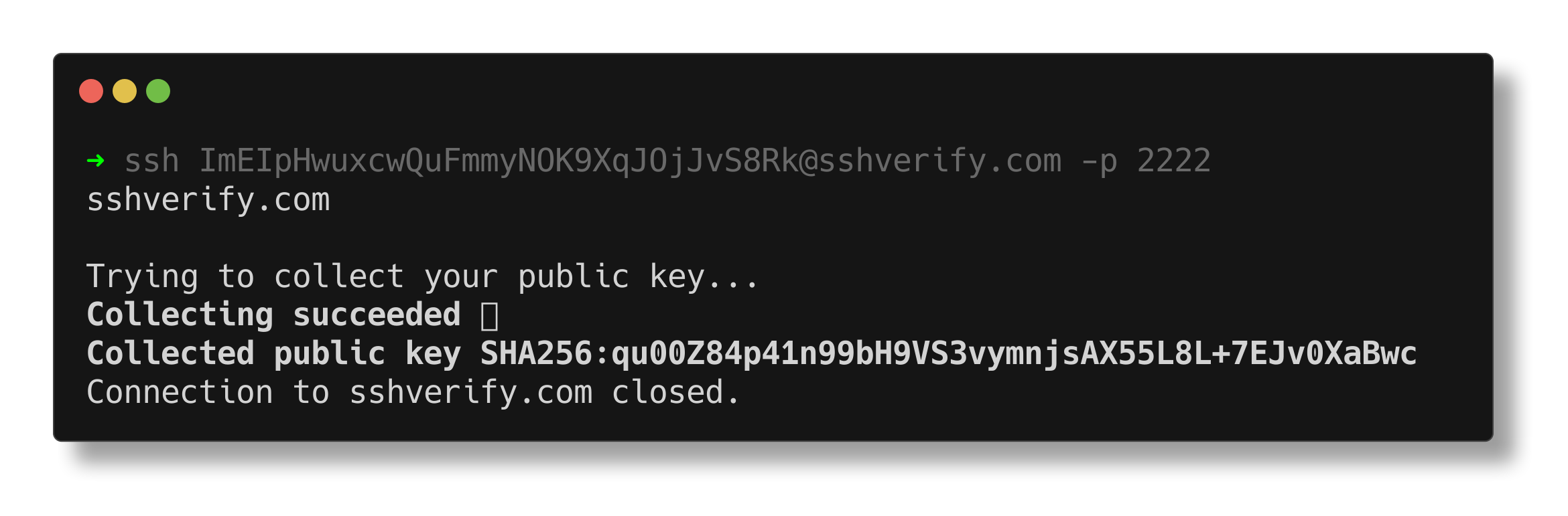 Terminal showing SSH connection
